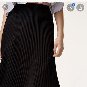 Aritizia Accordion Skirt